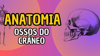 Anatomia humana  Ossos do crâneo parte2 [upl. by Filmer]