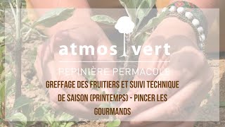 Greffer un arbre fruitier technique de suivi saisonnier au printemps [upl. by Nivar128]