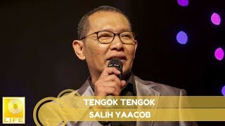 Salih Yaacob  Tengok Tengok Official Audio [upl. by Volin144]