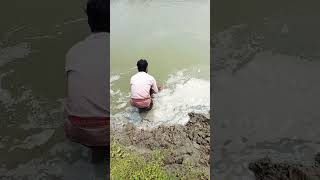 Best fishing youtubeshorts viralvideo fish [upl. by Akinimod111]