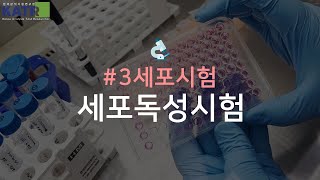 KATR 세포이야기 3 세포독성시험  세포시험 계대배양 다일루션작업🔬 [upl. by Babby]