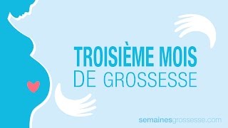 Troisième mois de grossesse  Mois 3 de grossesse  La grossesse mois par mois [upl. by Ronoel160]