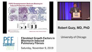 Fibroblast Growth Factors in Bleomycininduced Pulmonary Fibrosis  Robert Guzy MD [upl. by Ddene]