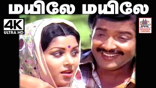 Mayile Mayile Un Thogai Enge Song இசைஞானி இசையில் SPB ஜென்சி பாடிய மயிலே மயிலே உன் தோகை எங்கே பாடல் [upl. by Pauletta]