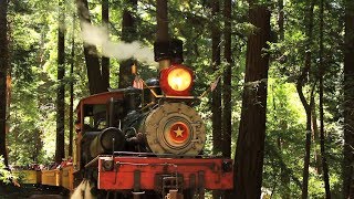 Roaring Camp amp Big Trees Railroad The Redwoods Experience [upl. by Shem]