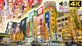 Tokyo Walk   Akihabara Electric Town JAPAN 4K [upl. by Tenaej60]