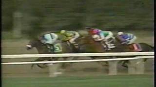 Sightseek sensational in 2003 Beldame at Belmont Park [upl. by Levitus]