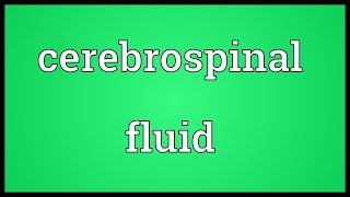 Cerebrospinal fluid Meaning [upl. by Assetniuq]