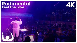 SYNTHONY  Rudimental Feel The Love Live ProShot 4K [upl. by Jess773]