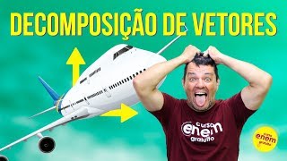 DECOMPOSIÇÃO DE VETORES  Resumo de Física para o Enem [upl. by Cory]