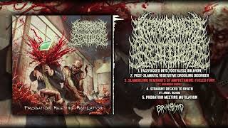 NECROPHILIC BEATDOWN  Probation Meeting Mutilation  FULL STREAM  BRUTAL MIND [upl. by Jonati]