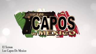 Los Capos De Mexico  El Terron [upl. by Ysiad]