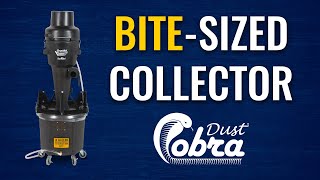 NEW WallMounted Dust Cobra® FullUnit HEPA Cyclonic Dust Collector  Oneida Air Systems Inc [upl. by Grissom]