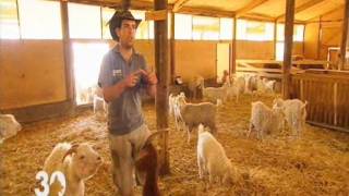 Visite pédagogique de la Ferme du col à Jarjayes dans les HautesAlpeswmv [upl. by Cogan619]