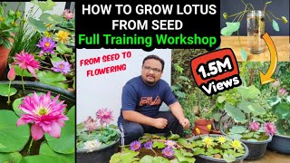 How To Grow Lotus From Seed  Full Training Workshop On Lotus And Water Lily  Seed To Flowering [upl. by Ruel]