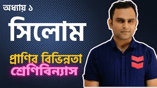 6 সিলোম  প্রকৃত সিলোম অপ্রকৃত সিলোম ও সিলোমহীন [upl. by Nyloj]