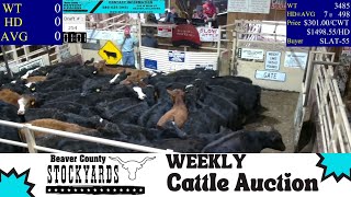 122024  Beaver County Stockyards Livestock Auction [upl. by Irah]