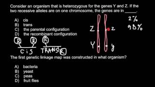 What is Cis and Trans genes configuration [upl. by Kcirredal581]