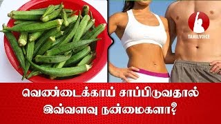 முஸ்லீம் வீடுகளில் ஏன் அதிகமா பூனை வளக்குறாங்கங்குற ரகசியம் தெரியுமா கேட்டா ஆச்சர்யப்படுவீங்க [upl. by Bunder]