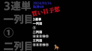 【阪神競馬4R】20240316 買い目リアルタイム予想 [upl. by Naujahs]