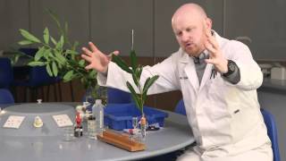 Transpiration the power of the potometer [upl. by Ecydnarb114]