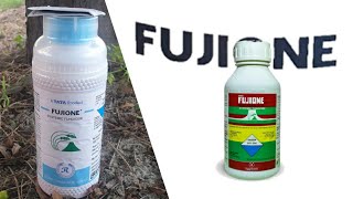 Fujione  isoprothiolane 40 EC Fungicide  Rallis India  TATA  Dose  Time of use [upl. by Nnylhtak]