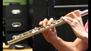 Custom Handmade Powell Flute with Dana Sheridan Headjoint for Sale  See Demo [upl. by Alurta263]