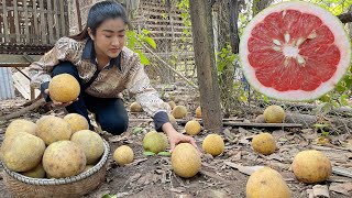 Pick sweet and sour pomelo for my recipe  Yummy pomelo salad recipe  Cooking with Sreypov [upl. by Riella]