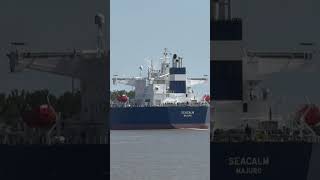 Ship sails up Mississippi River in Bridge City LA mississippiriver bridges river westwego [upl. by Teddman702]