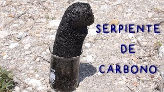 Serpiente de Carbono Deshidratacion de Azúcar con Ácido Sulfúrico [upl. by Sola]