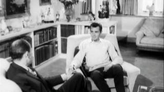 Dirk Bogarde interview [upl. by Ehtiaf]