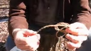 QUICK TIPS for Foraging Dogbane processing amp creating cordage with Dave McIntyre [upl. by Nileuqaj]