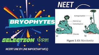 PLANT KINGDOM CLASS 11BRYOPHYTESNEETNCERT LINE BY LINE IMPORTANT MCQ [upl. by Noyr]