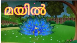 Mayile mayile song MALAYALAM RHYME [upl. by Zack]