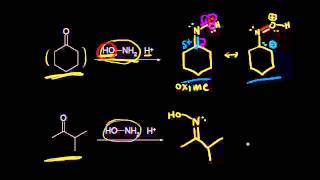 Formation of oximes and hydrazones  Aldehydes and ketones  Organic chemistry  Khan Academy [upl. by Cinomod547]