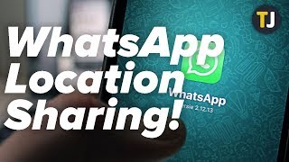 Sharing Your Location on WhatsApp EXPLAINED [upl. by Ordnazil]