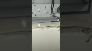 Counsel Flush tank Repair plumbingwork videos plumber viralvideo [upl. by Aieken]