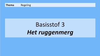 VMBO 4  Regeling  Basisstof 3 Het ruggenmerg  8e editie [upl. by Idnak]