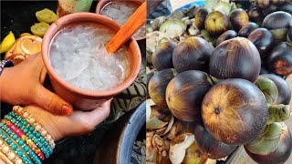 Nungu  ice  apple  nannari sarbath Recipe foodzeee [upl. by Aciram]