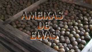 Ameixas de Elvas [upl. by Nyvek]