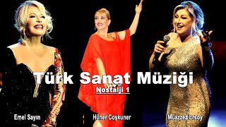 Türk Sanat Müziği  Emel Sayın  Hüner Coşkuner  Muazzez Ersoy [upl. by Travus]