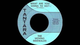 The Moving Sidewalks  What Are You Going To Do [upl. by Parsaye889]