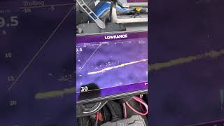 Lowrance Active Target forward view [upl. by Jasen]