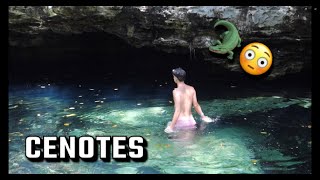 EXPLORING CENOTES IN PLAYA DEL CARMEN Mexico Episode 2 [upl. by Winer]