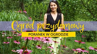 🌱Ogród przydomowy 🌞  Poranek w ogrodzie odc 7 [upl. by Ayifa90]