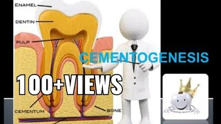 CEMENTOGENESISLEARN BY FLOW CHART  BUDDING DENTIST [upl. by Onez755]