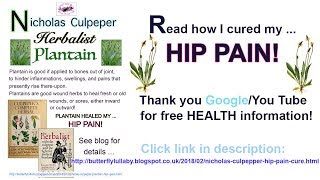 Hip PAIN Cure PLANTAIN Culpeper Herbal [upl. by Emmer]