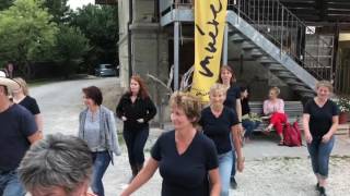 6 Open Air Line Dance Night Schlosshof 2017 [upl. by Nava]