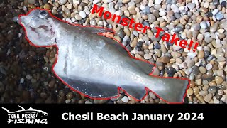 Chesil Beach in January  Monster Take from the deep  Tuna Purse Fishing [upl. by Enilekaj38]