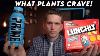 The Truth About Electrolytes PRIME and Lunchly  Doctor Explains [upl. by Niliac]